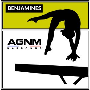 BENJAMINES 2015-2016