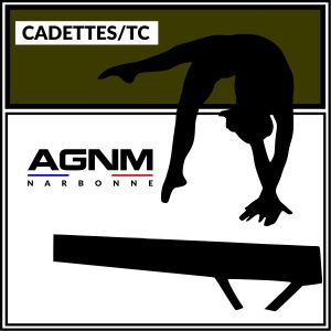 CADETTES TC 2012-2011-2010 et avant