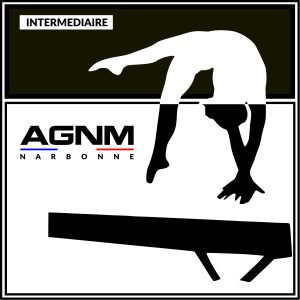 INTERMÉDIAIRES 2019-2018-2017 et avant