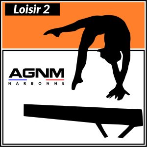 LOISIR 2 2014-2013-2012- et avant