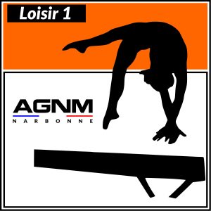 LOISIR 1 2018-2017-2016-2015