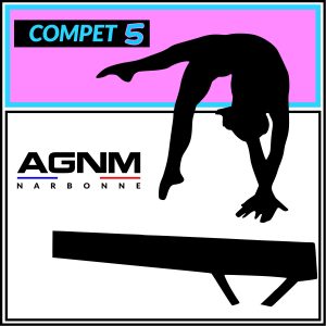 COMPÉTITION 5 2017-2016-2015-2014