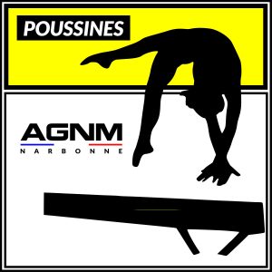 POUSSINES 2019-2018-2017